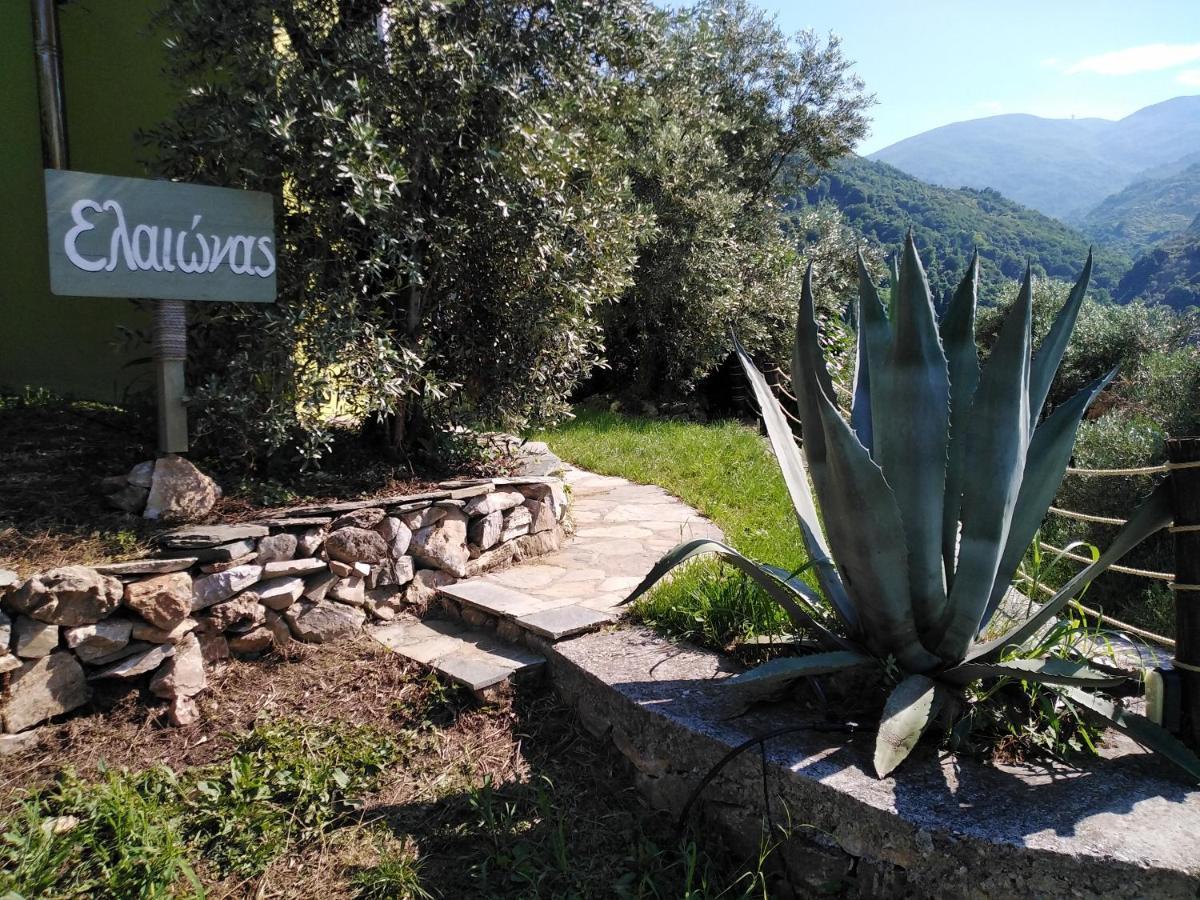 Ελαιώνας - Solar Energy House Villa Chorefton Exterior photo